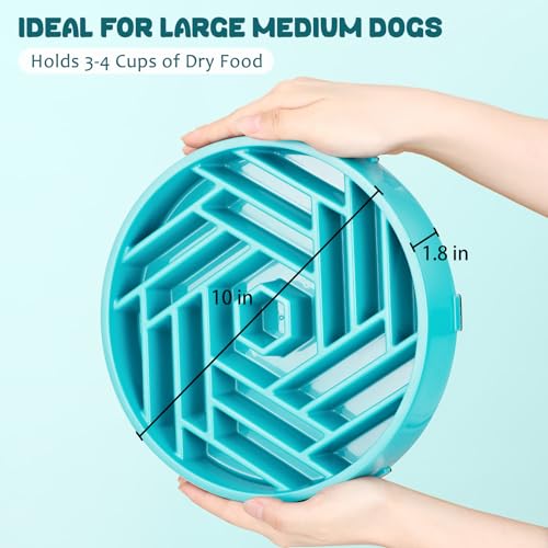 Slow Feeder Dog Bowl (sky blue)