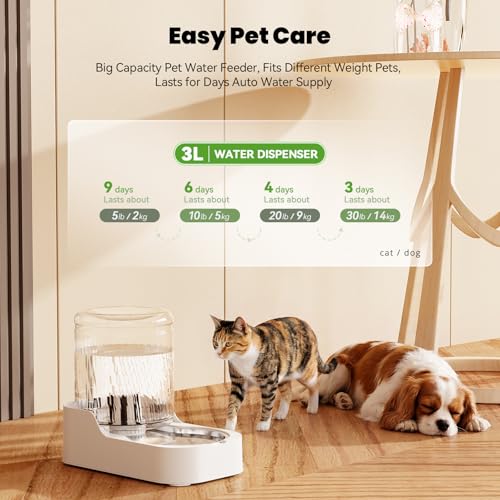 Automatic Cat Water Dispenser with Stainless Steel Bowl