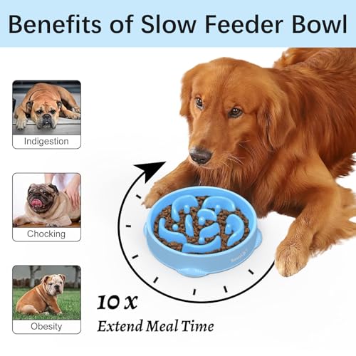 2 Pack Slow Feeder Dog Bowls (A-LightBlue&DarkBlue / Large)