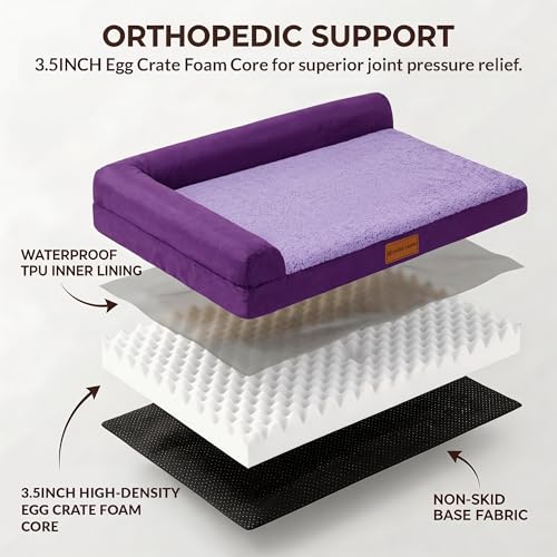 Orthopedic Large Dog Bed Washable Pet Sofa Bed 36''X24''Purple (Purple / 36"L x 24"W x 3.5"Th)
