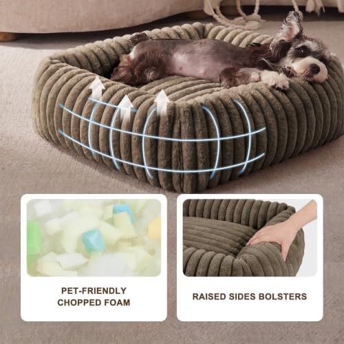 Dog Bed for Small Dogs (Coffee / S (20"x19"x6"))