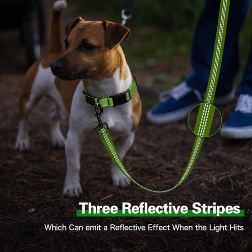 Light Up Dog Leash (Green)