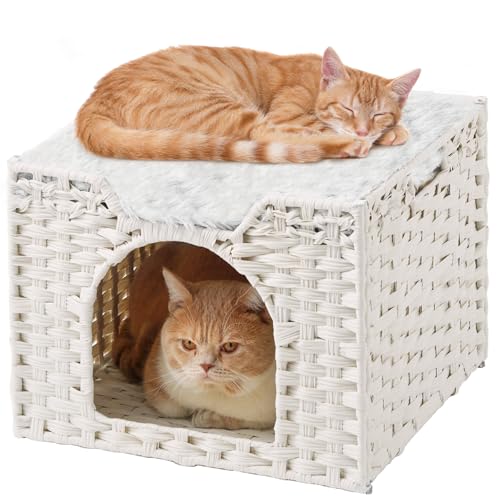 Cat Beds Indoor Kitten House (White / Rectangle-M)