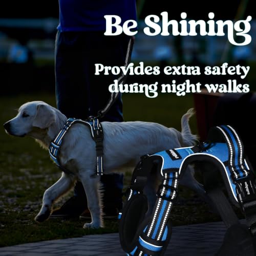 Dog Harness Small Sized (Small / Sky Blue)