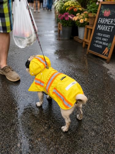 Waterproof Dog Raincoat with Two (Small)
