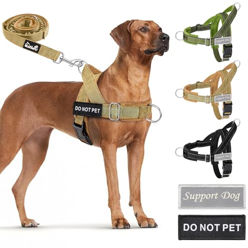 No Pull Dog Harness and Leash Set (Tan / X-Large)