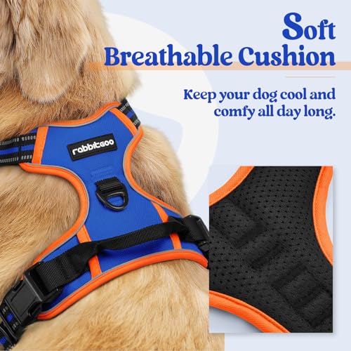 Dog Harness No Pull for Large Dogs with 2 Leash Clips (X-Large / Blue & Orange)