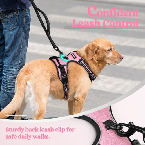Dog Harness No Pull for Small Dogs with 2 Leash Clips (Small / Pink)