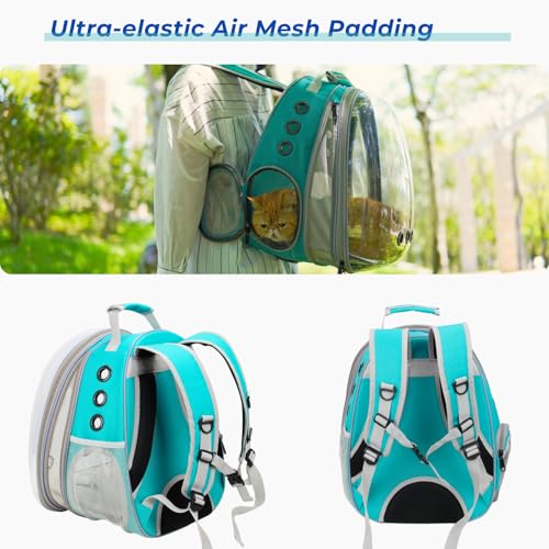 Cat Carrier Backpack (Front Expandable-Green)