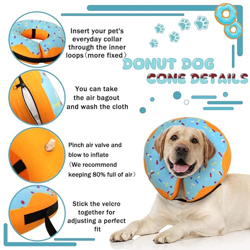 Recovery Donut Collar for Dogs & Cat (Blue / M（neck 8"-11"）)