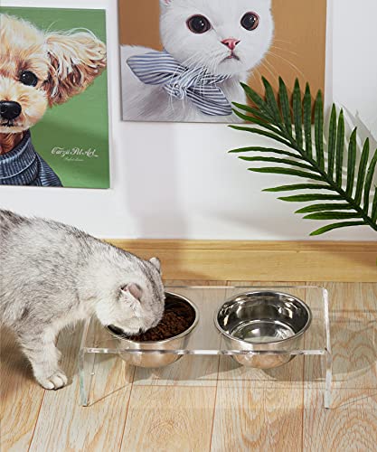 Acrylic Elevated Dog Cat Bowls Pet Feeder Double Bowl Raised Stand Comes with 4 Removable Stainless Steel Bowls. Perfect for Cats Puppies Small Dogs (Small: 3.75'' Height, 23.6 oz Steel Bowl)