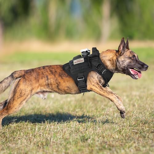 Tactical Dog Harness for Small (Black / Small)