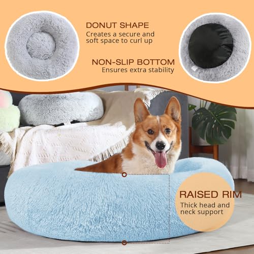 Dog & Cat Bed (20" / Light Blue)