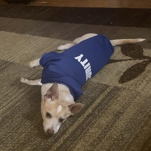 Security Dog Hoodie (#1 Royal Blue(Security) / XX-Large (All Breed Sizes))