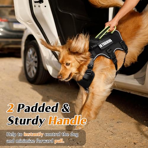 Escape Proof Dog Harness with Double Handle+4 Removable Patches (X-Large / Black)