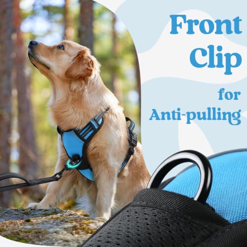 Dog Harness Small Sized (Small / Sky Blue)