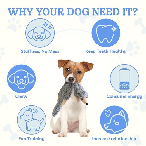 Dog Squeaky Toys No Stuffing 2 Pack (Large / Fur Plush-2 Pack)