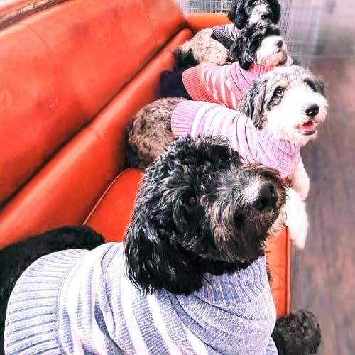 Cozy Soft Chenille Classy Striped Dog Sweater in Dusty Rose (20 inch / Dusty Rose)