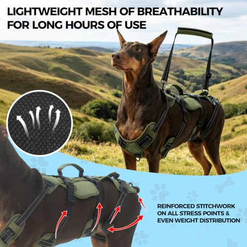Dog Lift Harness for Large Dogs (Green / Large)