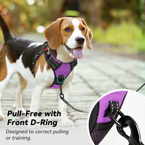 No Pull Dog Harness Medium with Front Clip & Neck Release Buckle (Medium / Purple)