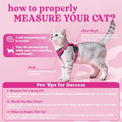 Cat Harness and Leash Set (Xxs / Rose Red)