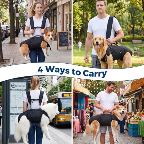 Dog Backpack Carrier Lift Harness (Medium)