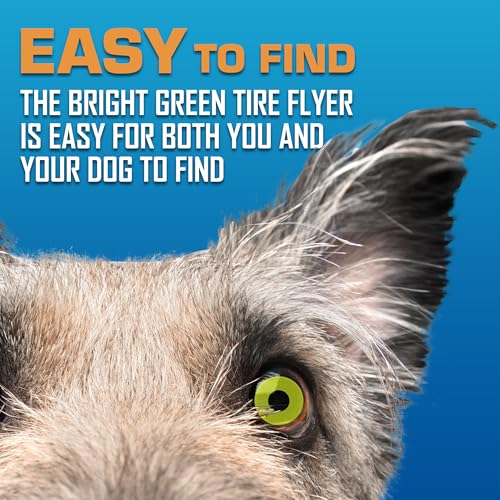 Atomic Flyer Outdoor Dog Toy (Green / 10 Inch)