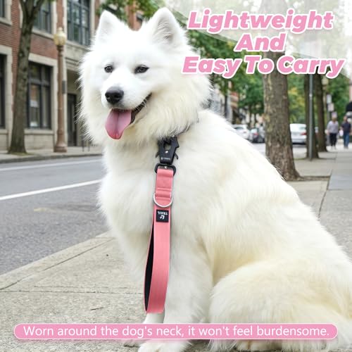 14 Inch Traffic Dog Leash with Padded Handle (Pink)