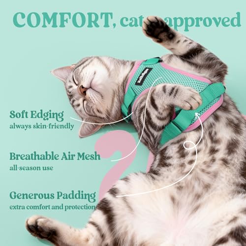 Cat Harness and Leash Set (M / Green & Pink)