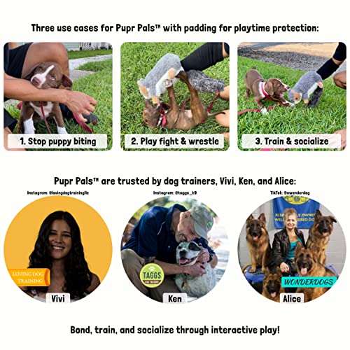 Pupr Pals Dog Toy Puppet with Tough Padding for Safe Interactive Play (Large / Nutjob)