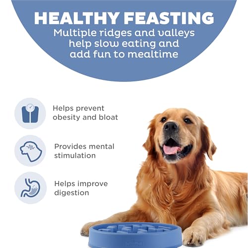 Fun Feeder Slo Bowl (Blue / Large)