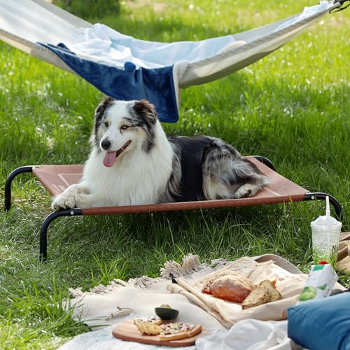 Outdoor Elevated Cooling XL Dog Bed for Extra Large Dog (Terracotta / 54"L x 35.4"W x 8"Th)