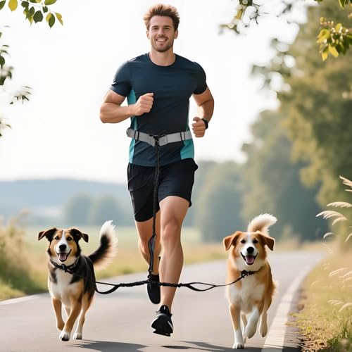 Hands Free Dog Leash for 2 Dogs Up to 250 lb (Gray / Two Dogs)