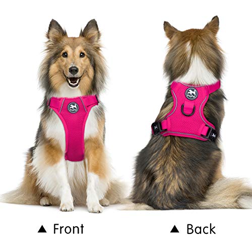 Mesh Dog Harness (L / Fuchsia)