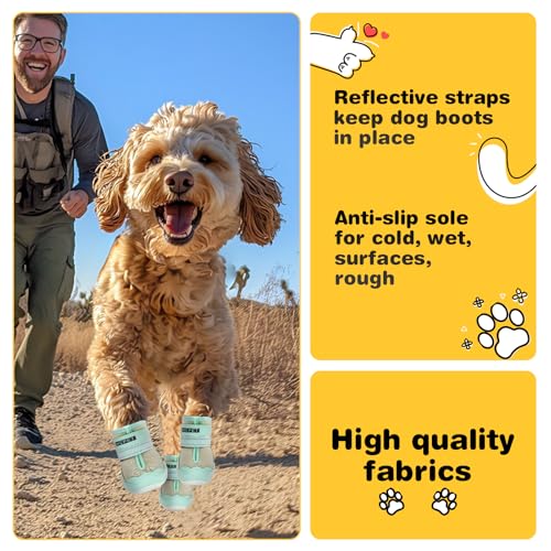 Dog Shoes for Dogs (Green / Width 2.16 in)