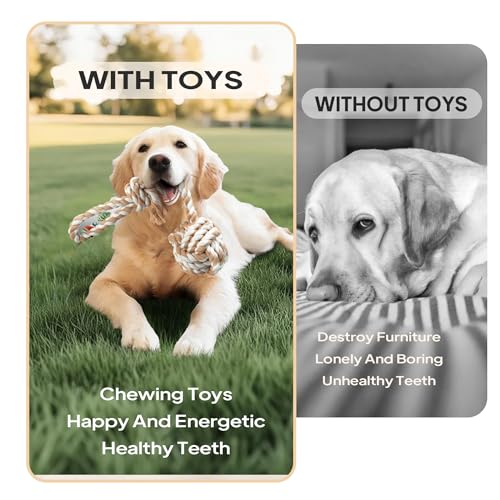 Dog Rope Toys for Aggressive Chewers (4 Style Set)