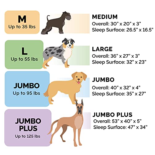 Orthopedic Dog Bed for Large (Large / Marine Blue)