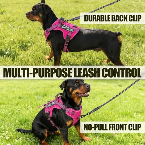 Dog Harness and Leash Set for Large Dogs (Rose Red / L)