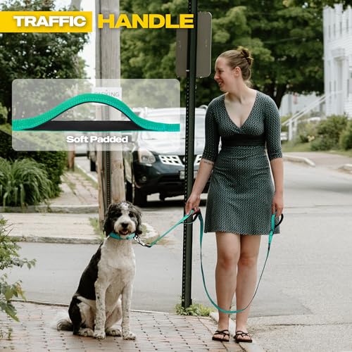 10 FT Heavy Duty Dog Leash (10 Feet (Pack of 1) / Teal)