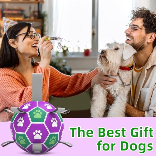 Dog Toy Balls (6 Inch / Purple Green)