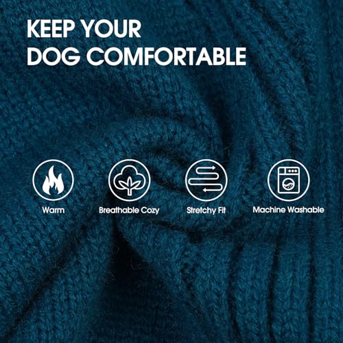 XXXL Dog Sweater (Peacock Blue / XXX-Large)