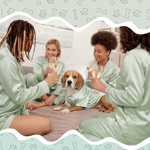 Dog Silk Pajamas Shirt Puppy Satin Pjs for Small Dog (L / Sage Green)