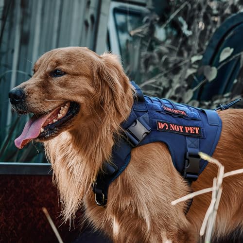 Tactical Dog Harness with Handle No (X-Small / Blue)