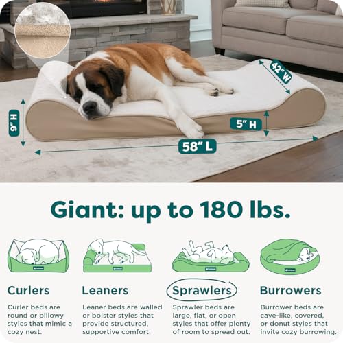 Orthopedic Dog Bed for Extra Large Dogs w (Giant/XXXL / Cream)