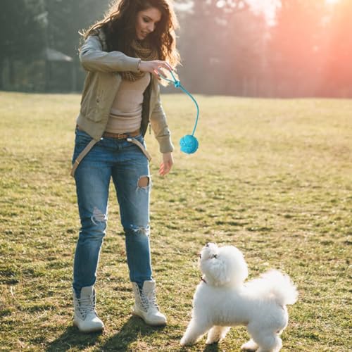 Dog Training Ball on Rope (2pcs blue)