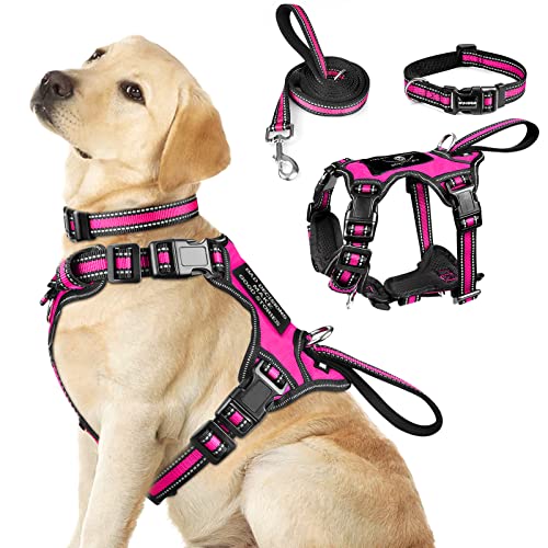 Pet Harness Collar and Leash Set (Large / Rosy)