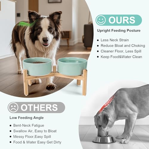 Elevated Dog Bowls Ceramic (7.3 in - 5.3 cups / Light Green)