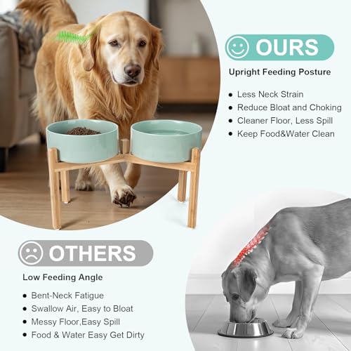 Elevated Dog Bowls Ceramic (8.3 in - 7.6 cups / Light Green)