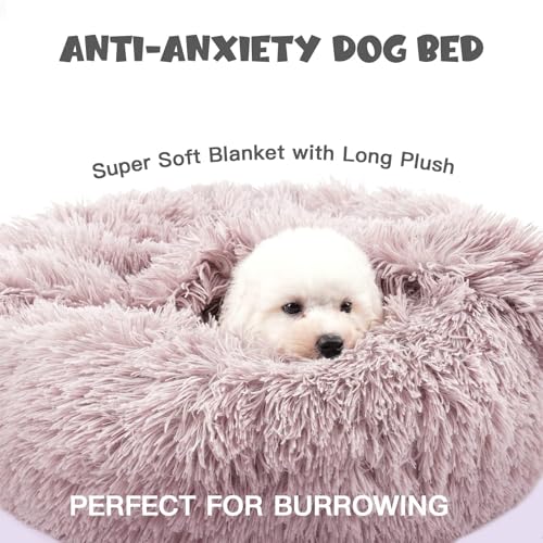 Covered Small Dog Bed with Blanket Attached Calming Burrow Beige (20.0"L x 20.0"W x 7.0"Th / Beige)