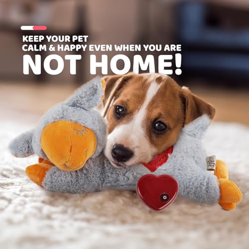 Heart Beat Dog Toy